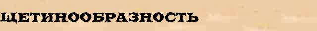 Щетинообразность Щетинообразность составить слова из слова Щетинообразность в интернет справочнике