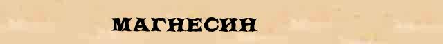Магнесин Магнесин краткая биография(статья) в Большом энциклопедическом электронном словаре