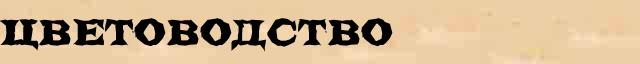 Цветоводство Цветоводство краткая биография(статья) в Большом энциклопедическом онлайн словаре
