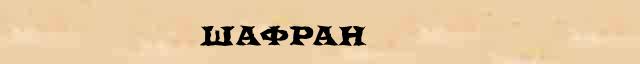Шафран Шафран - статья в интернет словаре Ефремовой
