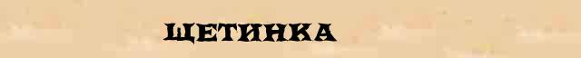 Щетинка Щетинка - лексическое значение в электронном словаре Ефремовой