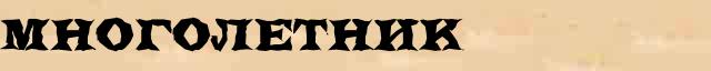 Многолетник Многолетник - грамматическая справка в интернет словаре Ефремовой