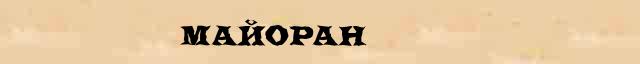 Майоран Толковое значение Майоран в интернет словаре иностранных слов