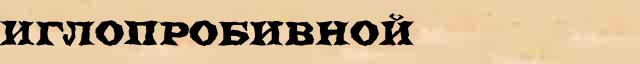 Иглопробивной Иглопробивной пример фонетического разбора в электронном словаре
