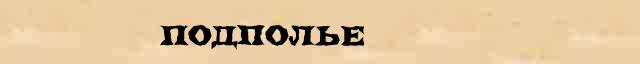 Подполье Подполье правильное лексическое значение слова в словаре Ожегова