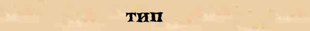 Тип Тип точное разъяснение термина в словаре С.Ожегов