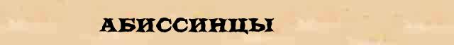 Абиссинцы Абиссинцы правильное толкование слова в словаре синонимов С Ожегова