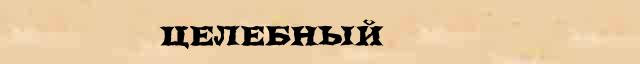 Целебный Целебный понятное разъяснение понятия в словаре Н.Ю.Шведовой