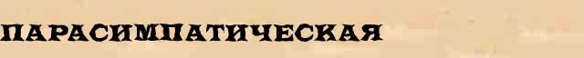 Парасимпатическая Парасимпатическая опечатки термина в онлайн словаре