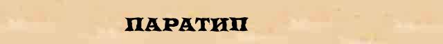 Паратип Паратип опечатки, ошибки слова в интернет словаре