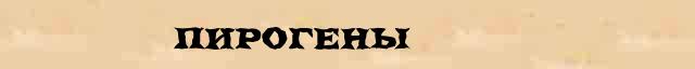 Пирогены Пирогены опечатки, ошибки слова в электронном словаре