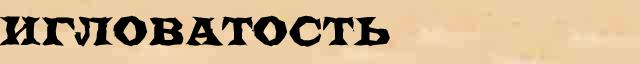Игловатость Игловатость возможные опечатки термина в интернет словаре