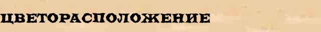 Цветорасположение Цветорасположение перевод слова возможный на арабский язык в онлайн словаре