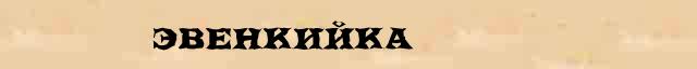 Эвенкийка Эвенкийка перевод слова на румынский язык в интернет переводчике