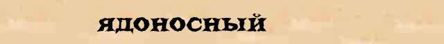 Ядоносный Ядоносный перевод слова возможный на арабский язык в онлайн словаре