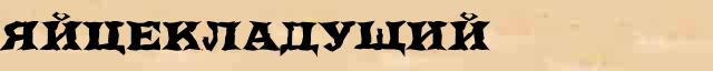 Яйцекладущий Яйцекладущий перевод слова возможный на арабский язык в онлайн словаре