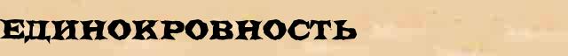 Единокровность Единокровность перевод слова на китайский язык в интернет мультипереводчике