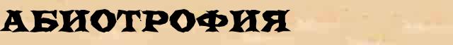 Абиотрофия Абиотрофия перевод слова возможный на норвежский язык в онлайн переводчике
