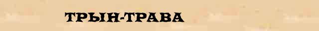 Трын-трава Трын-трава - грамматическая справка в интернет словаре синонимов Абрамова