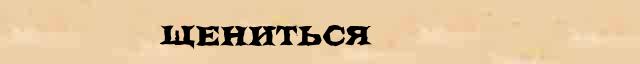 Щениться Щениться - стилистическая характеристика в онлайн синонимическом словаре Абрамова