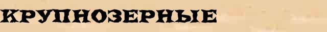 Крупнозерные Образец разбора слова по составу Крупнозерные в онлайн морфемном словаре
