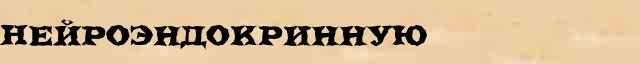 Нейроэндокринную Разбор слова по составу Нейроэндокринную в электронном морфемном словаре