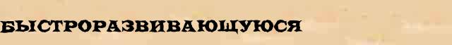 Быстроразвивающуюся Образец разбора слова по составу Быстроразвивающуюся в онлайн морфемном словаре