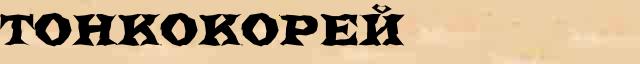 Тонкокорей Образец разбора слова по составу Тонкокорей в онлайн морфемном словаре
