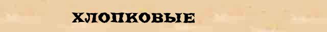 Хлопковые Образец разбора слова по составу Хлопковые в онлайн морфемном словаре