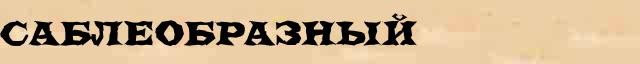 Саблеобразный Саблеобразный пример морфологического разбора в электронном морфологическом словаре прилагательных