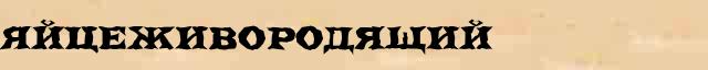 Яйцеживородящий Яйцеживородящий морфологический разбор существительного в электронном морфологическом словаре прилагательных