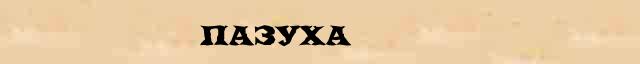 Пазуха Пазуха - статья в интернет словаре Ушакова
