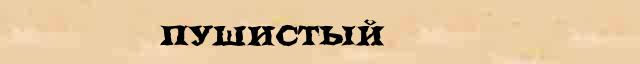 Пушистый Пушистый - толковое значение слова в онлайн словаре Ушакова