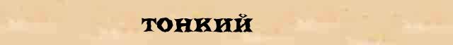 Тонкий Тонкий - лексическое значение в электронном словаре Ушакова