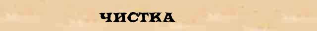Чистка Чистка - стилистическая характеристика в онлайн словаре Ушакова