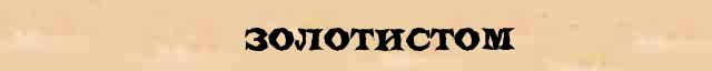 фанатическийразбор слова. золотистой разбор 2. золотистой разбор 2. золотистой разбор 2. разабрат.